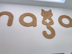 -纳吉亚猫专科动物医院·北北分院