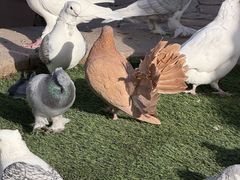 -拾久(朝阳公园店)