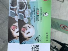 -都江堰中华大熊猫苑