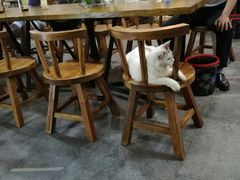 -蒋六十八梯眼镜面(狮子坪店)
