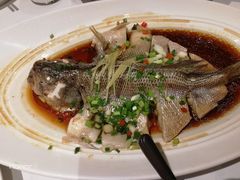 -眉州东坡·熊猫主题餐厅(枫蓝店)