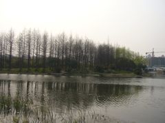 -新江湾城公园