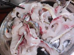 中山脆肉鲩鱼-鱼醉无骨鱼·中山脆肉鲩(荔湾路店)