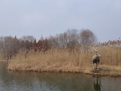 -溱湖国家湿地公园