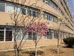 -大连外国语大学(旅顺校区)