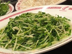 -中国城银都鱼翅酒楼