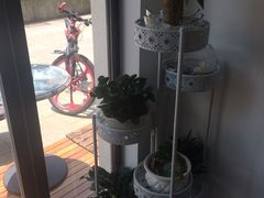 店内布置-ICEPOPO MILK(玉兰店)