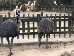 -南昌动物园