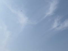 -梁子湖东篱老屋生态庄园