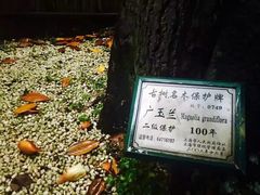 -上海艾本精品酒店