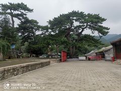 -妙峰山风景名胜区