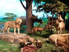 -国家自然博物馆