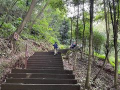 -凤栖山