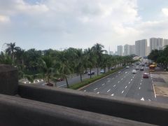 -万绿园