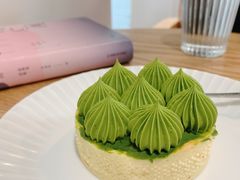抹茶挞-猫里有甜