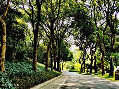 -云溪植物园