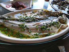 -呼吸森林·生态农庄农家乐私房菜