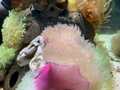 -太平洋海底世界