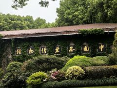 -中国茶叶博物馆(双峰馆区)