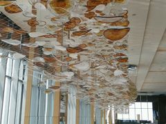 -视界美食自助餐厅·石家庄希尔顿酒店