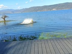 -大理洱海