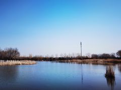 -永定河休闲森林公园