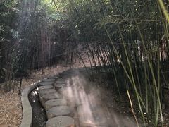 -雪山彩虹谷景区