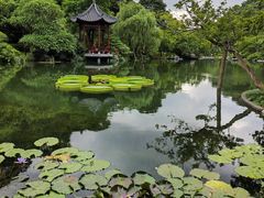 -云溪植物园