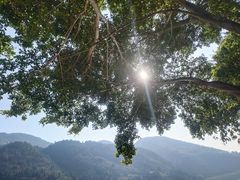 -白帝城·瞿塘峡景区