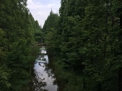 -黄海国家森林公园