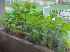 -江户前日本料理(瑞诗酒店店)