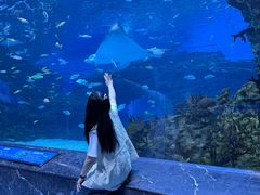 -海合安成都极地海洋公园