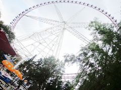 -哈尔滨文化公园