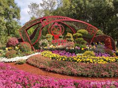 -上海共青森林公园