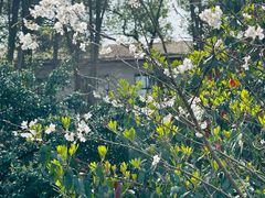 -中南财经政法大学(首义校区)