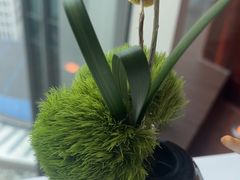 -翡翠36餐厅(浦东香格里拉店)