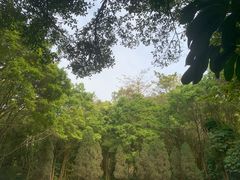 -深圳国际园林花卉博览园