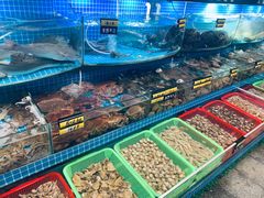 水产区-望海潮海鲜店 特色家常菜(在海一方店)