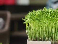 -领鲜天下·焗海鲜·花胶鸡(天目里店)