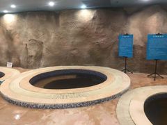 -青岛东方影都融创水世界