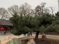 -北陵公园