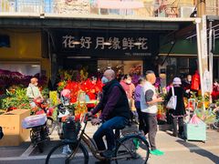 -溪岸路花鸟市场