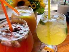 -柴犬高等学院·狗咖·柴犬售卖·宠物训练