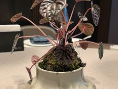 -鑫缘汇(南滨路店)