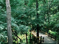 -北京西山国家森林公园