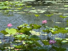 -承德避暑山庄景区