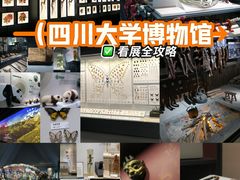 -四川大学博物馆