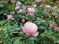 -人民公园(罗湖区)