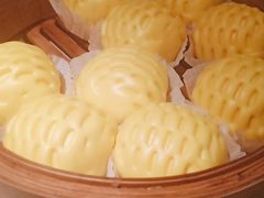 -寨子里的·钵钵菜·湘西山里菜(魅力湘西店)