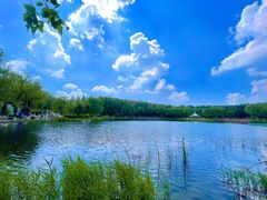 -吉林大学(前卫南校区)